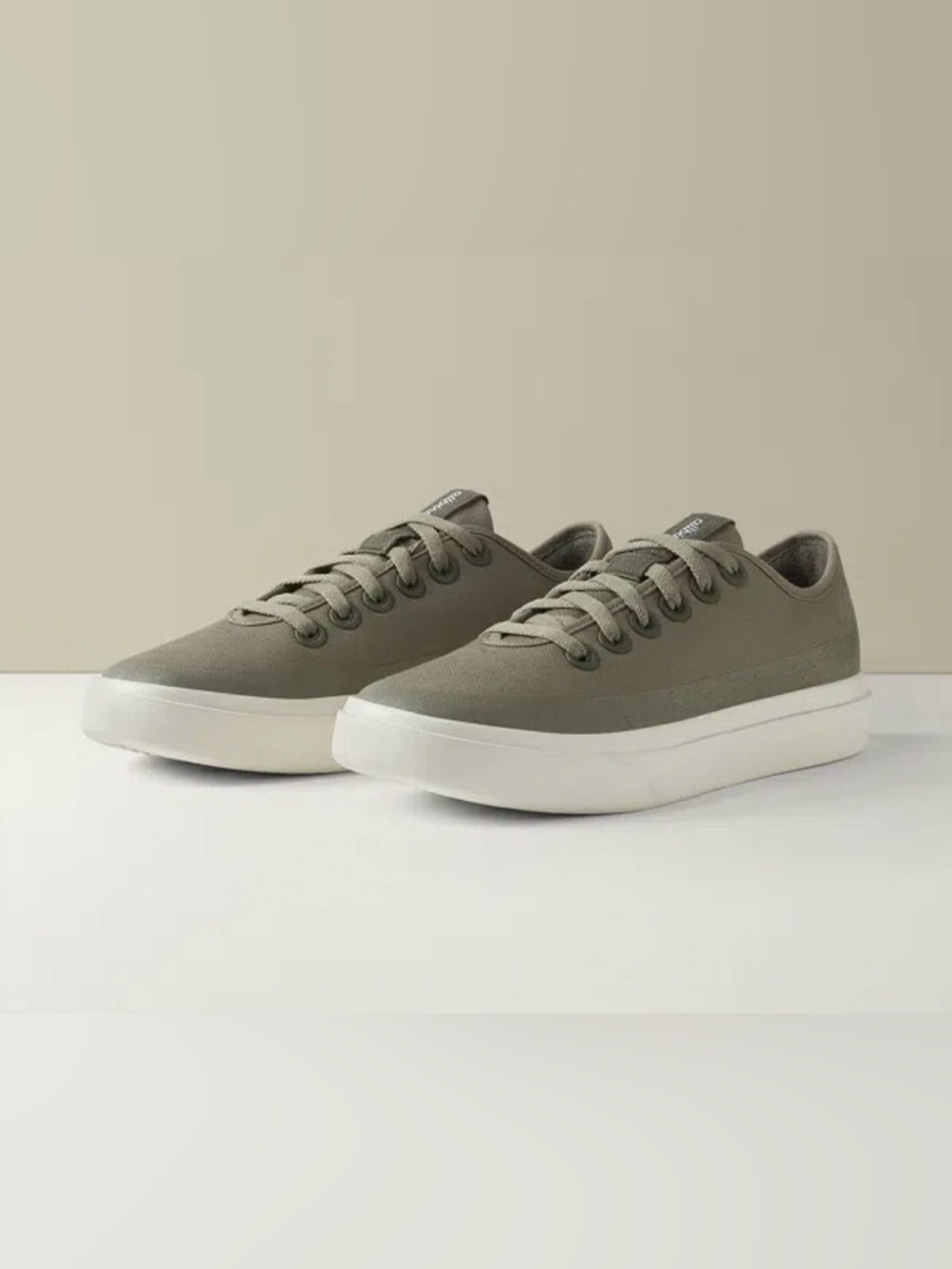 Allbirds Woman’s Canvas Pipers Sneaker